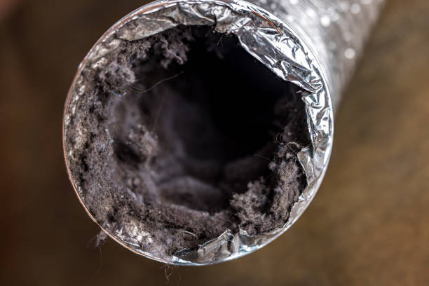 Best Dryer Vent Cleaning Services  in Grand Haven, MI
