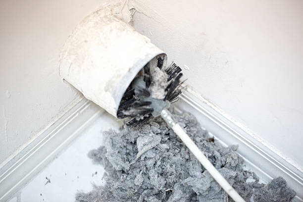 Best Local Air Duct Cleaning Services  in Grand Haven, MI